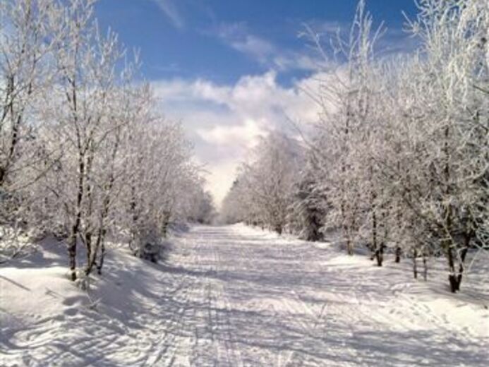 zima_krajina1 - Pec pod Sněžkou